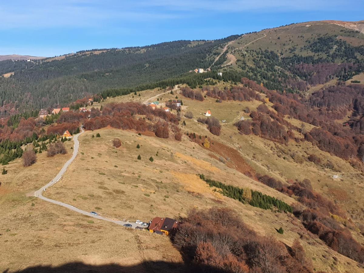 Vikendica Vila Despotovic Kopaonik Exterior photo