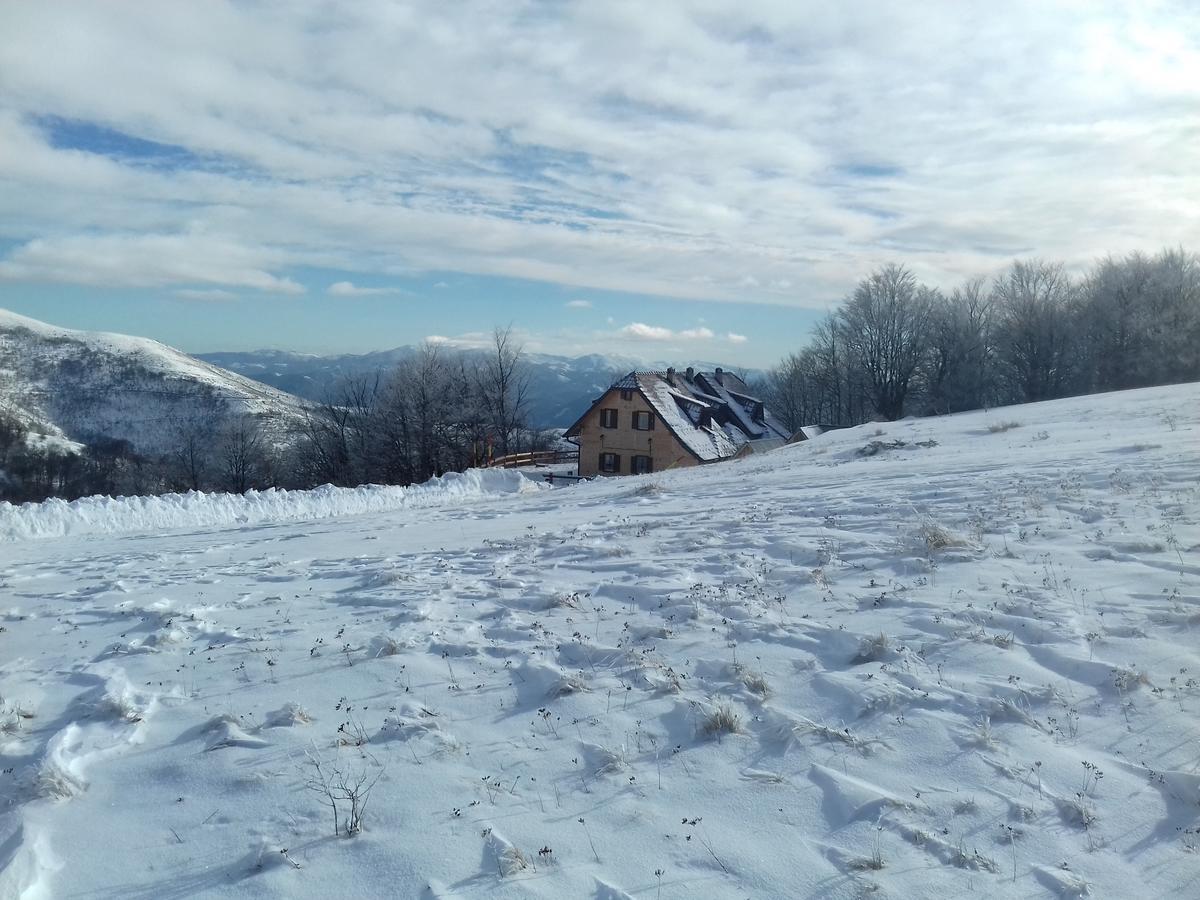 Vikendica Vila Despotovic Kopaonik Exterior photo